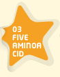 03 five aminoa cid